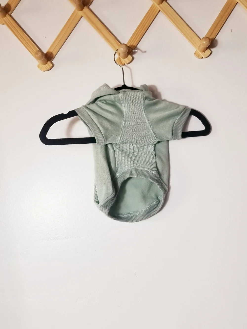 BOOTS & BARKLEY DOG GREEN HOODIE SIZE SMALL